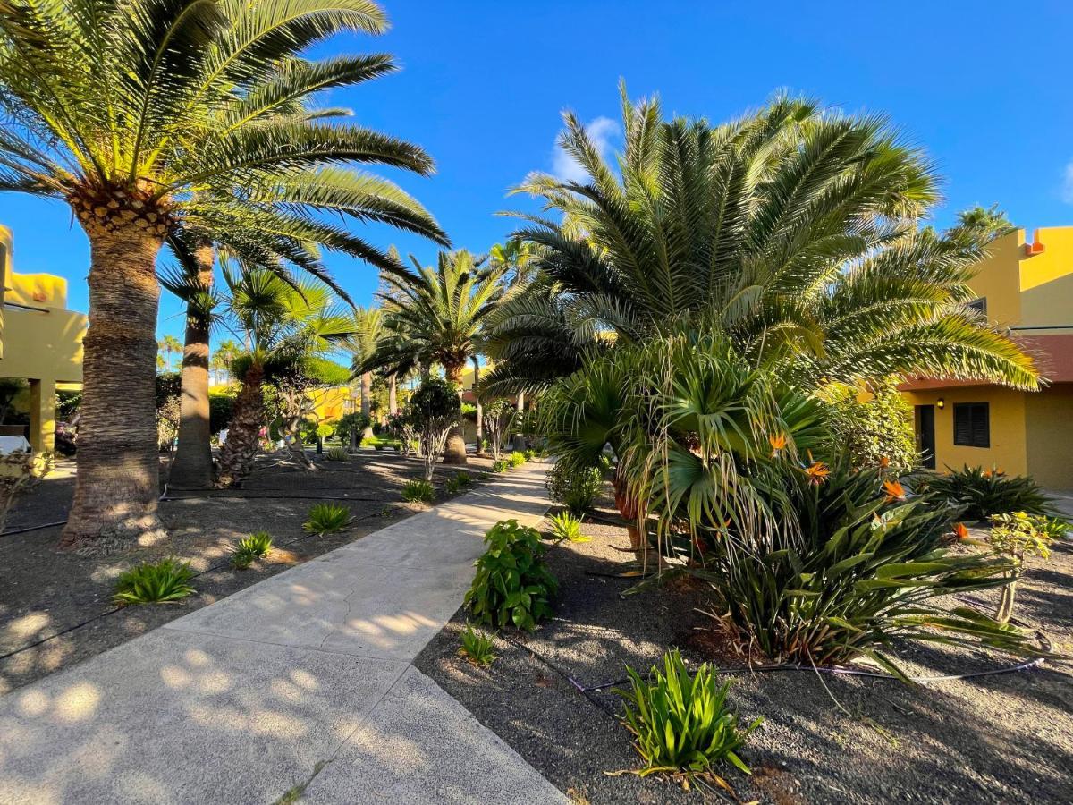 Atlantic Garden 238 By Best Holidays Fuerteventura كوراليهو المظهر الخارجي الصورة
